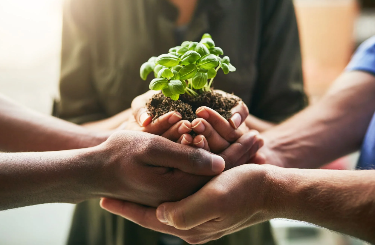 Empowering Communities: Social Impact Workshop with Anna